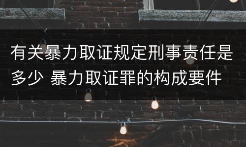 有关暴力取证规定刑事责任是多少 暴力取证罪的构成要件