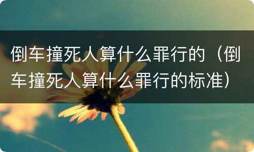 倒车撞死人算什么罪行的（倒车撞死人算什么罪行的标准）