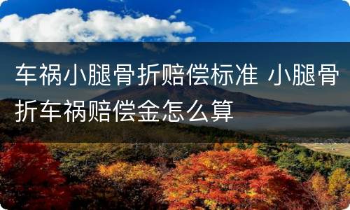 车祸小腿骨折赔偿标准 小腿骨折车祸赔偿金怎么算
