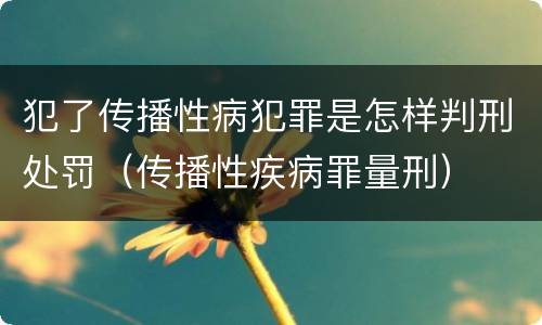 犯了传播性病犯罪是怎样判刑处罚（传播性疾病罪量刑）
