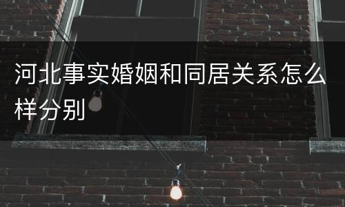 河北事实婚姻和同居关系怎么样分别