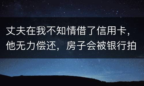 丈夫在我不知情借了信用卡，他无力偿还，房子会被银行拍卖吗