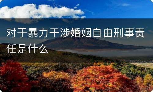 对于暴力干涉婚姻自由刑事责任是什么