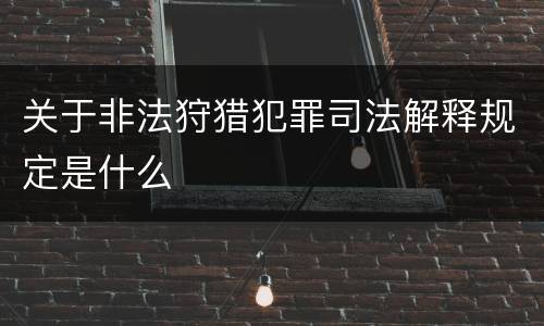 关于非法狩猎犯罪司法解释规定是什么