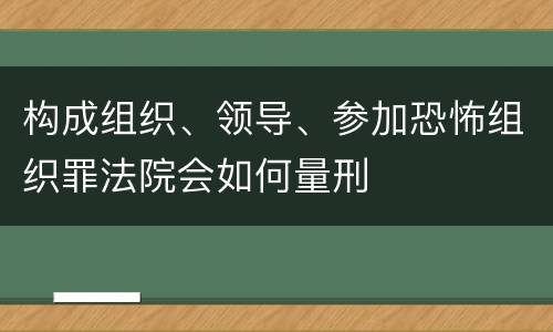 构成组织、领导、参加恐怖组织罪法院会如何量刑