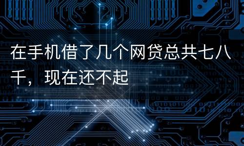 在手机借了几个网贷总共七八千，现在还不起