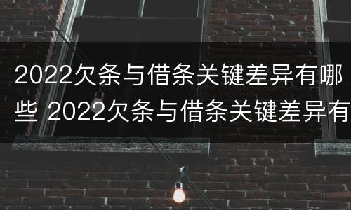 2022欠条与借条关键差异有哪些 2022欠条与借条关键差异有哪些呢