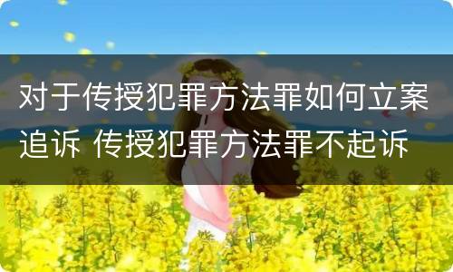 对于传授犯罪方法罪如何立案追诉 传授犯罪方法罪不起诉