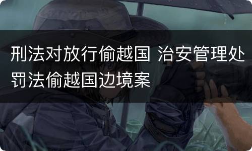 刑法对放行偷越国 治安管理处罚法偷越国边境案