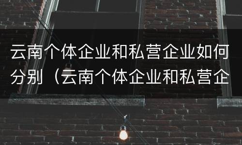 云南个体企业和私营企业如何分别（云南个体企业和私营企业如何分别管理）