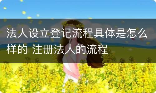 法人设立登记流程具体是怎么样的 注册法人的流程