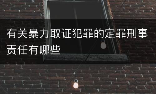 有关暴力取证犯罪的定罪刑事责任有哪些