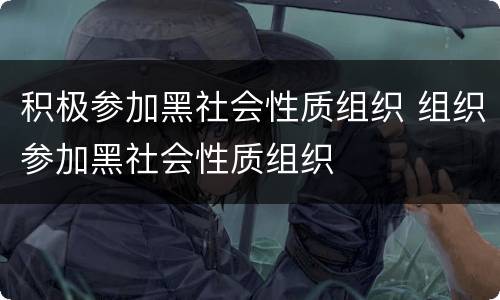 积极参加黑社会性质组织 组织参加黑社会性质组织