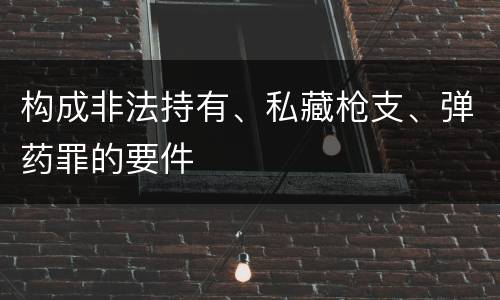 构成非法持有、私藏枪支、弹药罪的要件