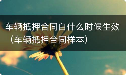 车辆抵押合同自什么时候生效（车辆抵押合同样本）