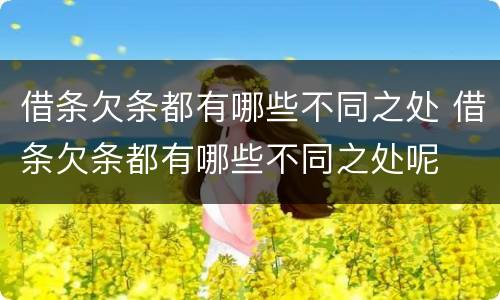 借条欠条都有哪些不同之处 借条欠条都有哪些不同之处呢