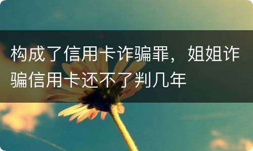 构成了信用卡诈骗罪，姐姐诈骗信用卡还不了判几年