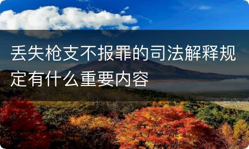 丢失枪支不报罪的司法解释规定有什么重要内容