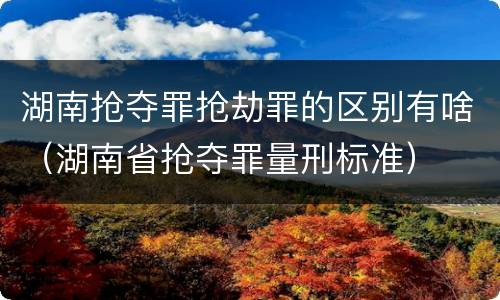 湖南抢夺罪抢劫罪的区别有啥（湖南省抢夺罪量刑标准）