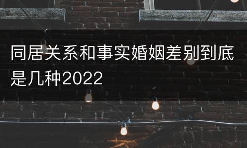 同居关系和事实婚姻差别到底是几种2022