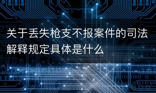 关于丢失枪支不报案件的司法解释规定具体是什么
