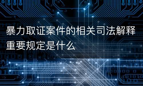 暴力取证案件的相关司法解释重要规定是什么