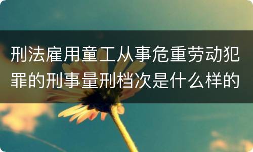 刑法雇用童工从事危重劳动犯罪的刑事量刑档次是什么样的