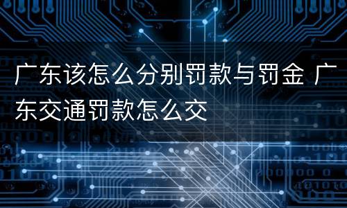 广东该怎么分别罚款与罚金 广东交通罚款怎么交