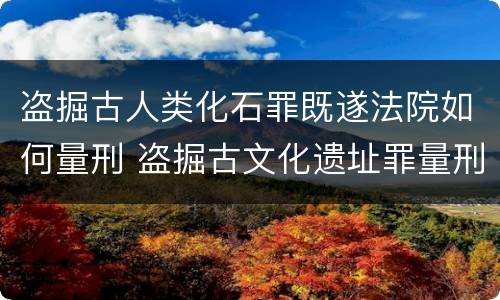 盗掘古人类化石罪既遂法院如何量刑 盗掘古文化遗址罪量刑
