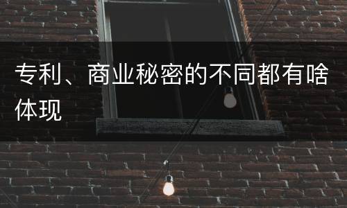 专利、商业秘密的不同都有啥体现