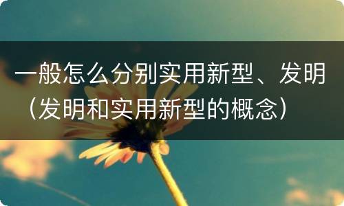 一般怎么分别实用新型、发明（发明和实用新型的概念）