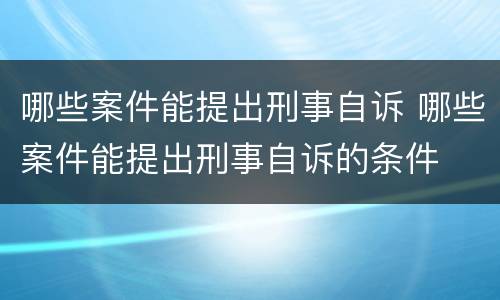 哪些案件能提出刑事自诉 哪些案件能提出刑事自诉的条件