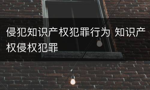 侵犯知识产权犯罪行为 知识产权侵权犯罪