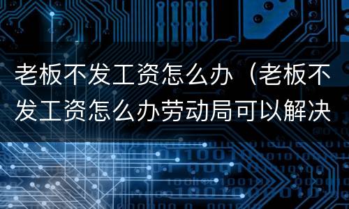 老板不发工资怎么办（老板不发工资怎么办劳动局可以解决吗）