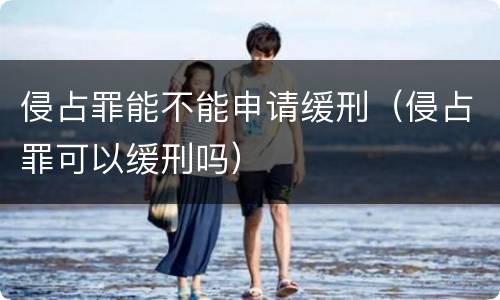 侵占罪能不能申请缓刑（侵占罪可以缓刑吗）