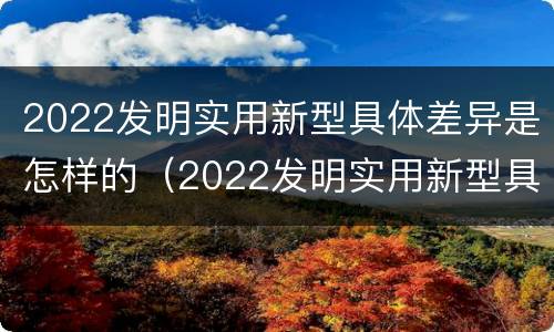 2022发明实用新型具体差异是怎样的（2022发明实用新型具体差异是怎样的呢）