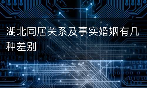 湖北同居关系及事实婚姻有几种差别