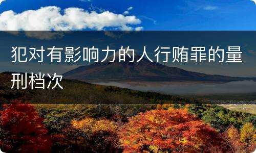 犯对有影响力的人行贿罪的量刑档次