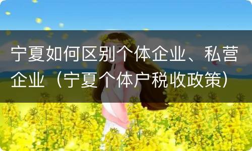 宁夏如何区别个体企业、私营企业（宁夏个体户税收政策）