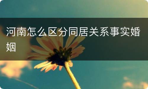 河南怎么区分同居关系事实婚姻