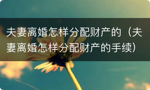 夫妻离婚怎样分配财产的（夫妻离婚怎样分配财产的手续）