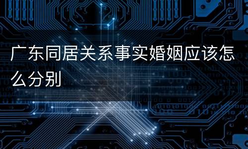 广东同居关系事实婚姻应该怎么分别