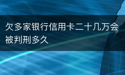 欠多家银行信用卡二十几万会被判刑多久