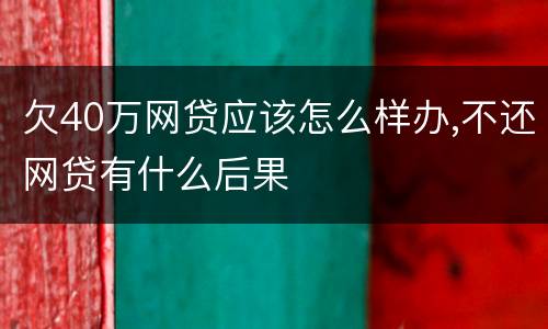 欠40万网贷应该怎么样办,不还网贷有什么后果