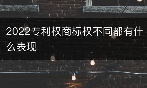2022专利权商标权不同都有什么表现