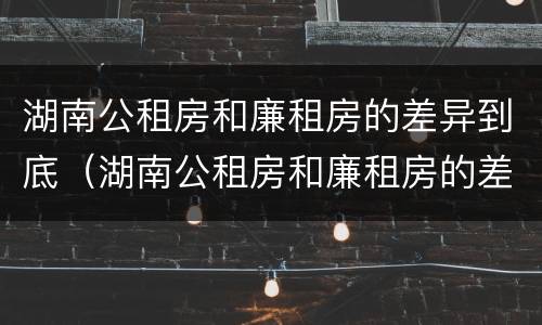 湖南公租房和廉租房的差异到底（湖南公租房和廉租房的差异到底有多大）