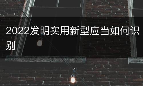 2022发明实用新型应当如何识别