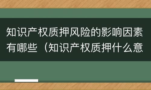 知识产权质押风险的影响因素有哪些（知识产权质押什么意思）