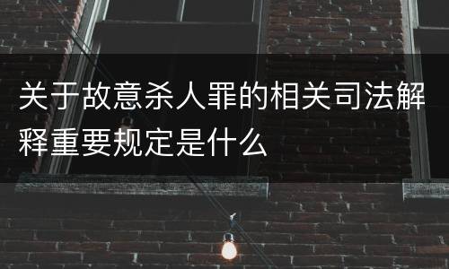 关于故意杀人罪的相关司法解释重要规定是什么