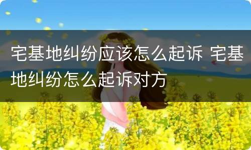 宅基地纠纷应该怎么起诉 宅基地纠纷怎么起诉对方